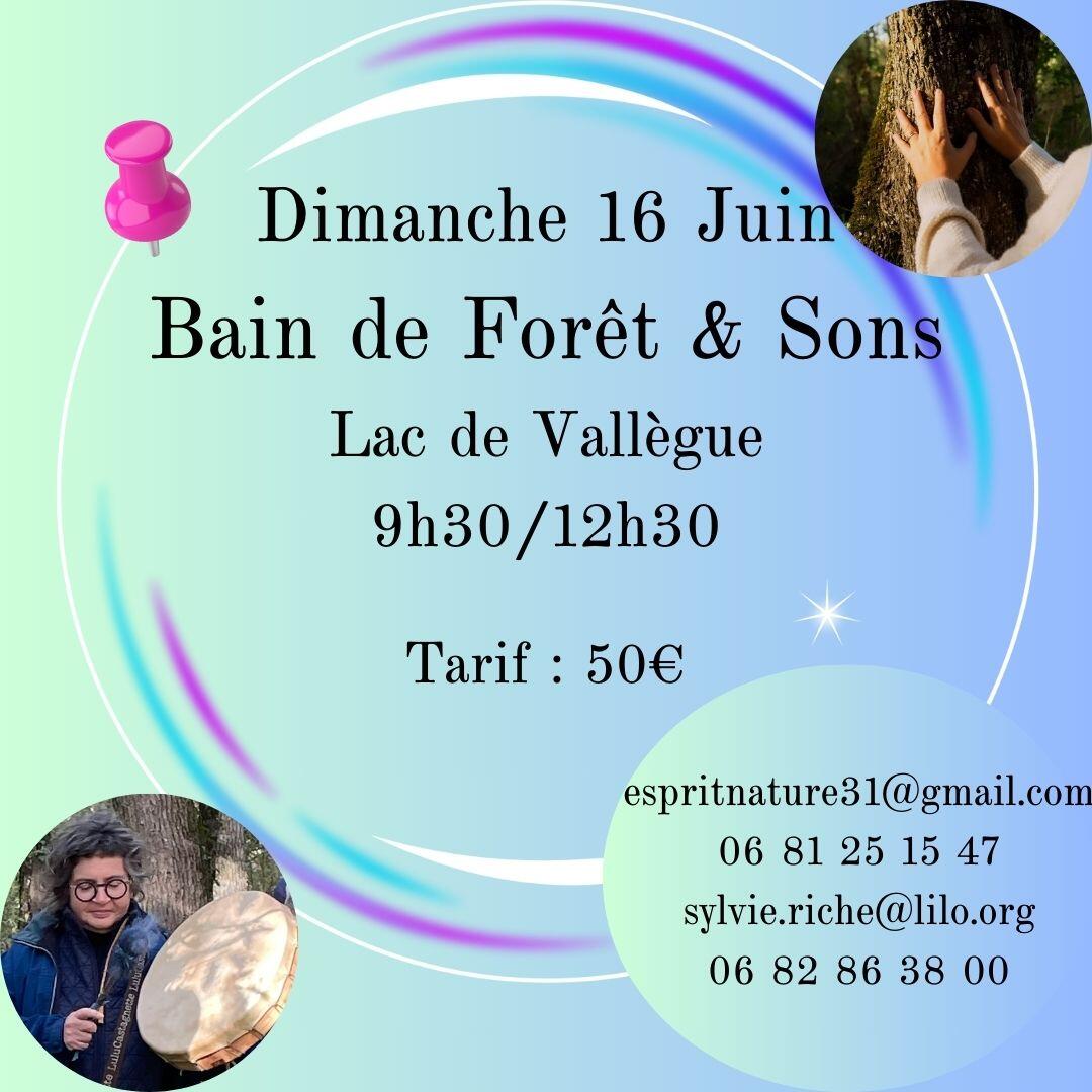 bain de forêt & sons 16 juin